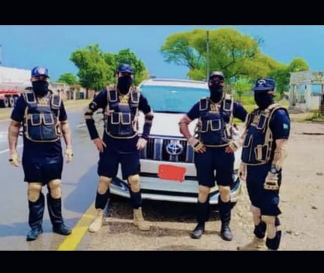 Security Guards & Protocol Services in Islamabad, Rawalpindi and Lahore | SSG Commandos and Event Protection